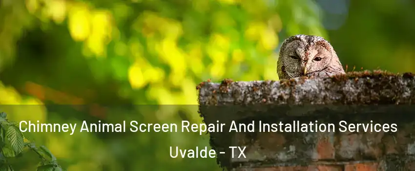  Chimney Animal Screen Repair And Installation Services Uvalde - TX