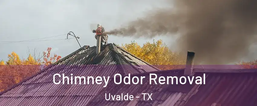  Chimney Odor Removal Uvalde - TX