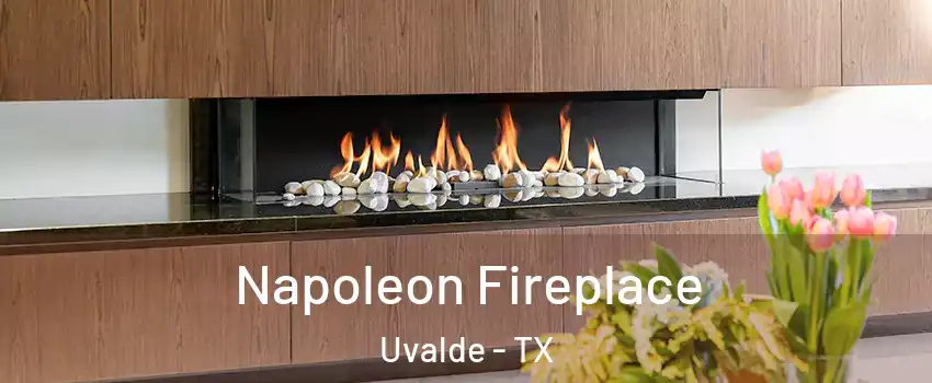  Napoleon Fireplace Uvalde - TX